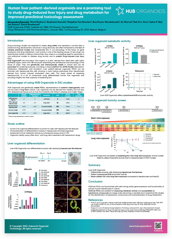 Human liver patientderived HUB Organoids as a promising tool to study